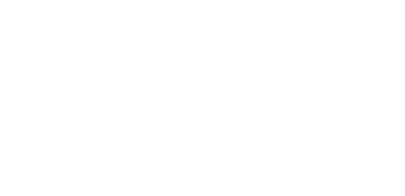 STMNT Grooming